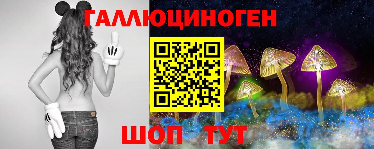 Сальск  продажа наркотиков  Псилоцибиновые грибы GOLDEN TEACHER  Вход с VPN  Псилоцибиновые грибы Magic Shrooms 